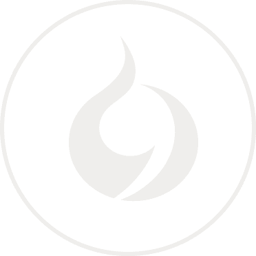 Hotmob timeline logo at 2007