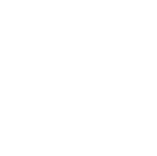 Diverse Data Sources icon